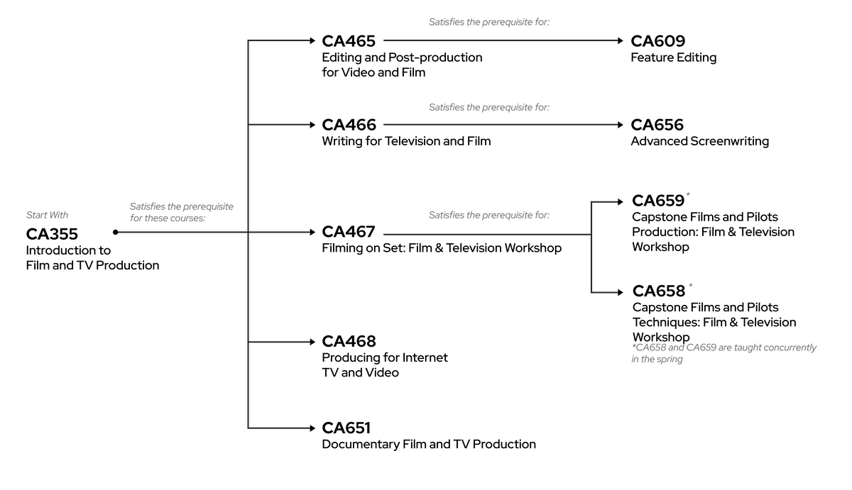 Flow chart demonstrating potential course paths to take in the certificate.